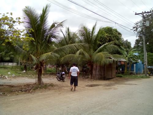 FOR SALE: Lot / Land / Farm Cebu > Other areas 7