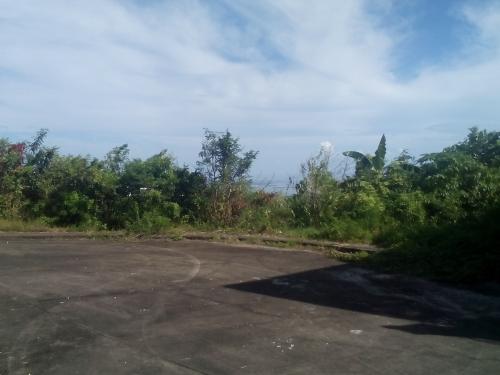 FOR SALE: Lot / Land / Farm Cebu > Cebu City 1