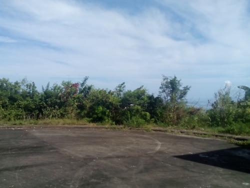 FOR SALE: Lot / Land / Farm Cebu > Cebu City 2