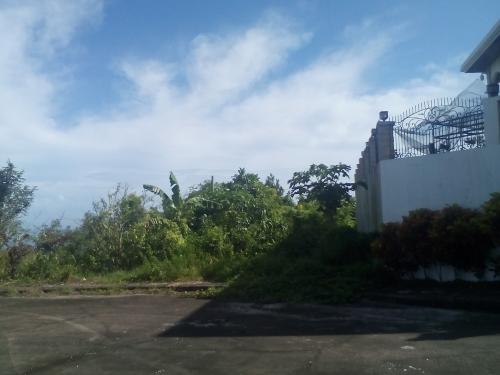 FOR SALE: Lot / Land / Farm Cebu > Cebu City 3
