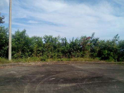FOR SALE: Lot / Land / Farm Cebu > Cebu City 5
