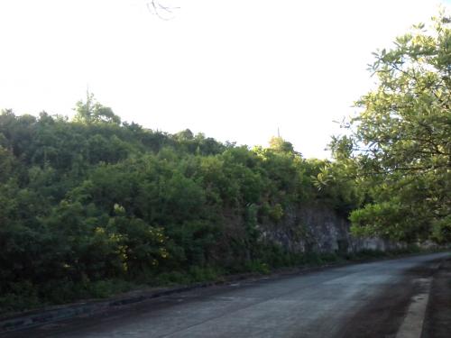 FOR SALE: Lot / Land / Farm Cebu > Cebu City 6