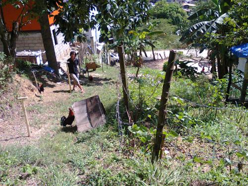 FOR SALE: Lot / Land / Farm Cebu > Cebu City 2