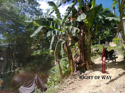 FOR SALE: Lot / Land / Farm Cebu > Cebu City 4