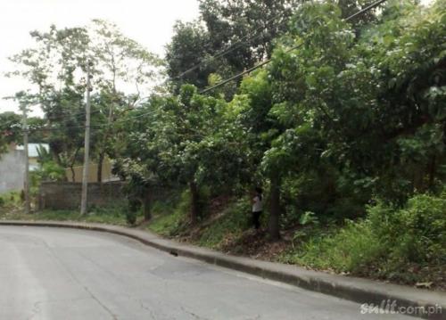 FOR SALE: Lot / Land / Farm Cebu > Other areas 3