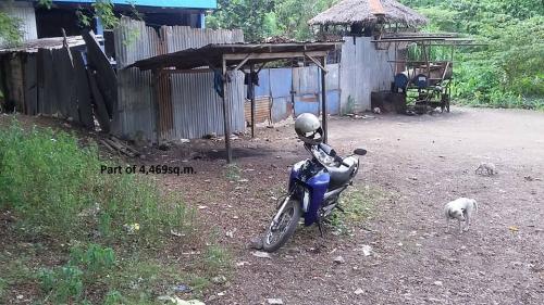 FOR SALE: Lot / Land / Farm Cebu > Other areas 2