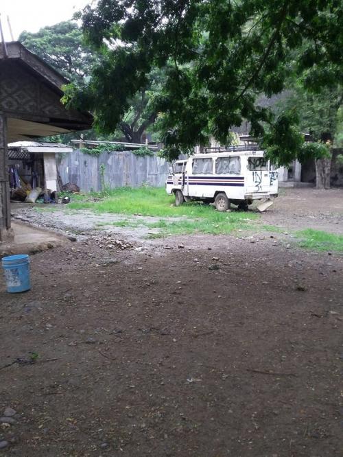FOR SALE: Lot / Land / Farm Cebu > Other areas 4