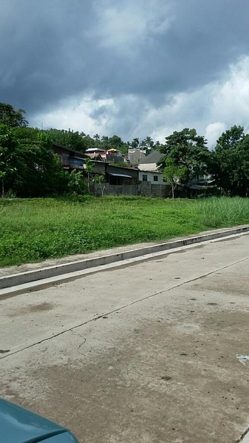 FOR SALE: Lot / Land / Farm Cebu > Cebu City 1