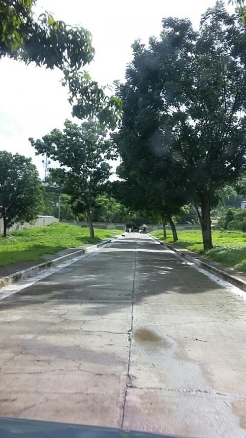 FOR SALE: Lot / Land / Farm Cebu > Cebu City 3