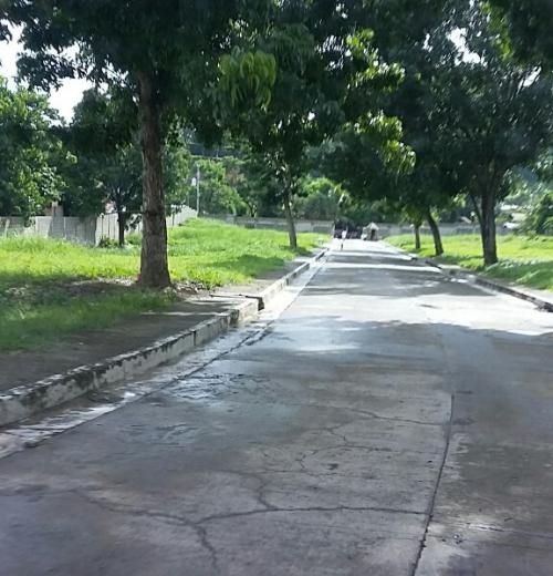 FOR SALE: Lot / Land / Farm Cebu > Cebu City 6