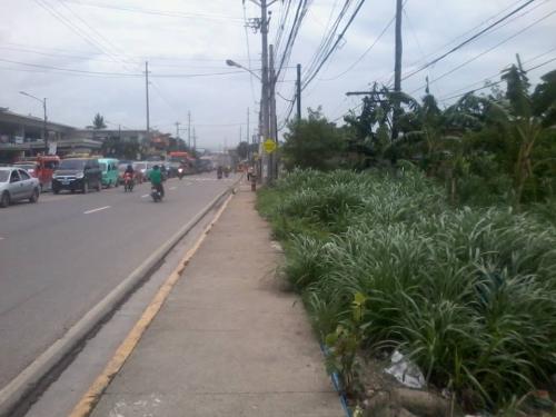FOR SALE: Lot / Land / Farm Cebu > Mandaue 2