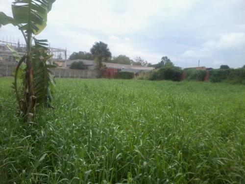 FOR SALE: Lot / Land / Farm Cebu > Mandaue 4