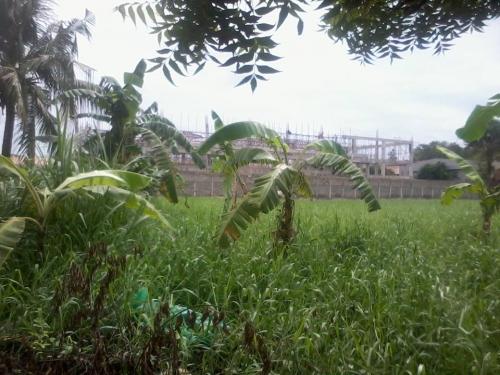 FOR SALE: Lot / Land / Farm Cebu > Mandaue 5