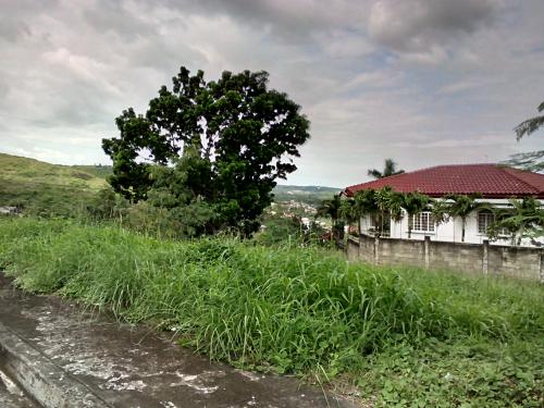 FOR SALE: Lot / Land / Farm Cebu > Other areas