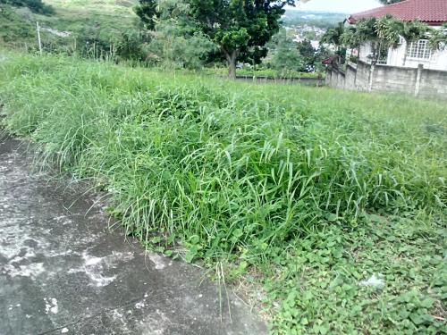 FOR SALE: Lot / Land / Farm Cebu > Other areas 1