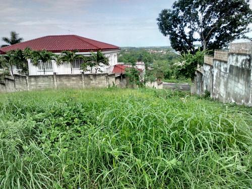 FOR SALE: Lot / Land / Farm Cebu > Other areas 4