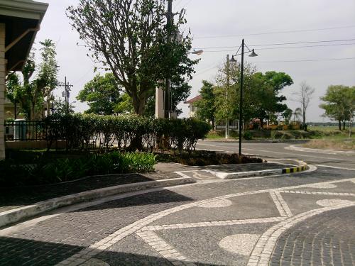 FOR SALE: Lot / Land / Farm Pangasinan 4