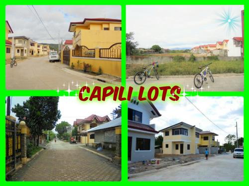 FOR SALE: Lot / Land / Farm Rizal