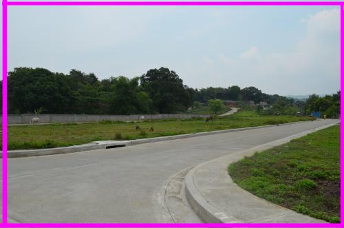 FOR SALE: Lot / Land / Farm Rizal 1
