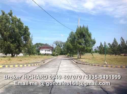 FOR SALE: Lot / Land / Farm Cavite 6