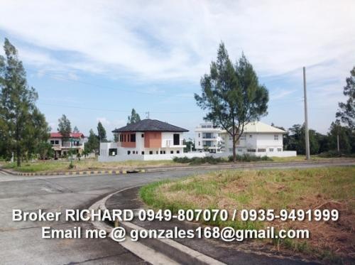 FOR SALE: Lot / Land / Farm Cavite 8