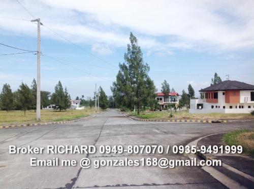 FOR SALE: Lot / Land / Farm Cavite 9