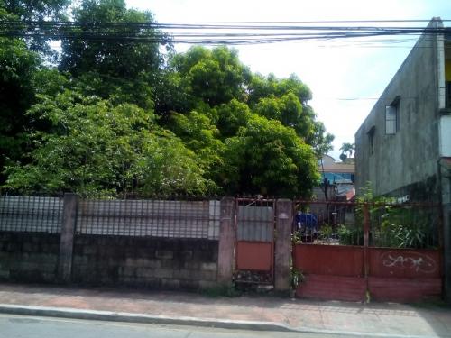 FOR SALE: Lot / Land / Farm Manila Metropolitan Area > Marikina