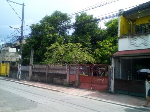 FOR SALE: Lot / Land / Farm Manila Metropolitan Area > Marikina 1