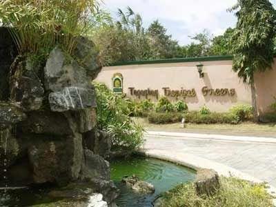 FOR SALE: Lot / Land / Farm Tagaytay 1