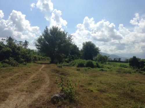 FOR SALE: Lot / Land / Farm Laguna 3