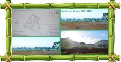 FOR SALE: Lot / Land / Farm Rizal