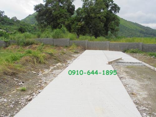 FOR SALE: Lot / Land / Farm Rizal 1