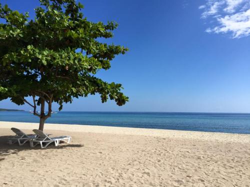 FOR SALE: Lot / Land / Farm Batangas 5