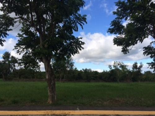 FOR SALE: Lot / Land / Farm Cavite > Silang