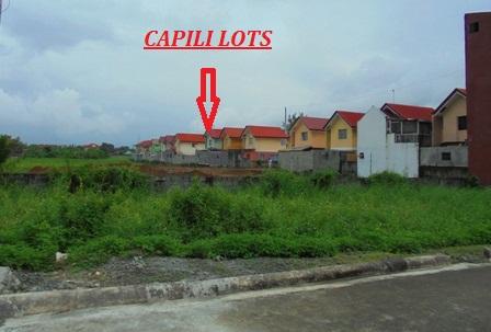 FOR SALE: Lot / Land / Farm Rizal 1