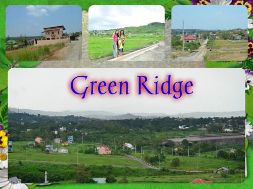 FOR SALE: Lot / Land / Farm Rizal 6