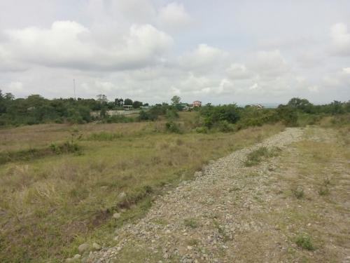 FOR SALE: Lot / Land / Farm Cagayan > Tuguegarao