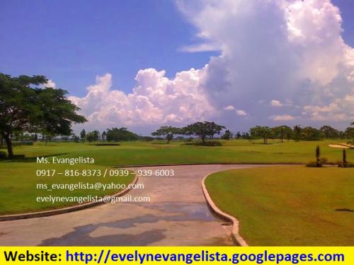 FOR SALE: Lot / Land / Farm Nueva Ecija 2