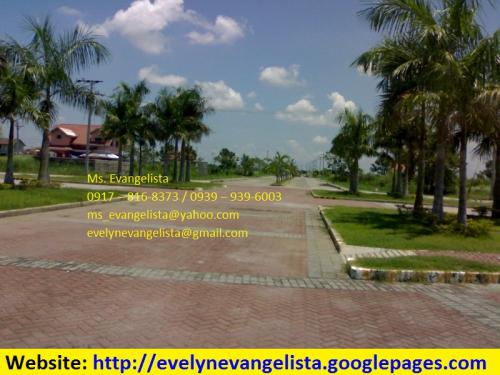 FOR SALE: Lot / Land / Farm Nueva Ecija 4