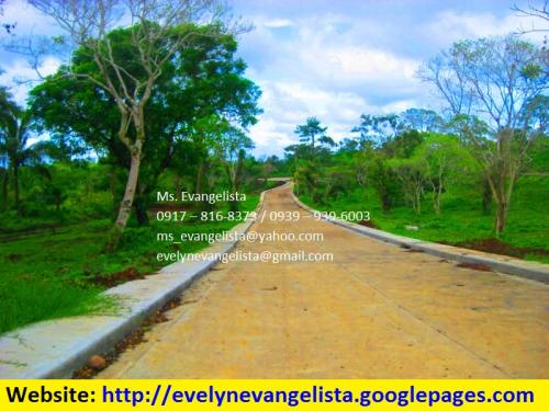 FOR SALE: Lot / Land / Farm Cavite 3