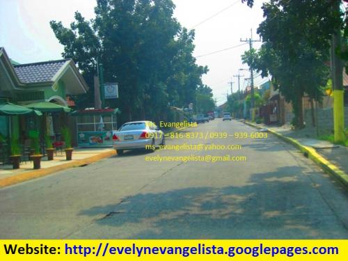 FOR SALE: Lot / Land / Farm Cavite 3