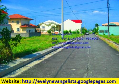 FOR SALE: Lot / Land / Farm Cavite 2