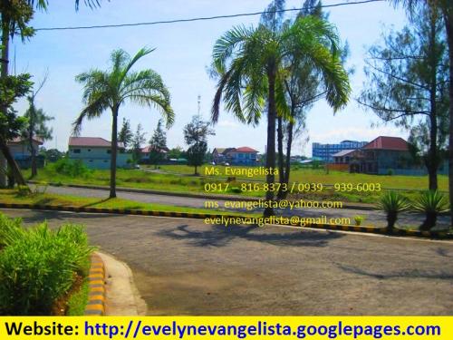 FOR SALE: Lot / Land / Farm Cavite 5