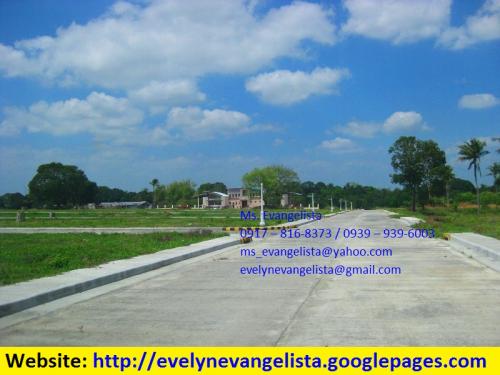 FOR SALE: Lot / Land / Farm Cavite 3