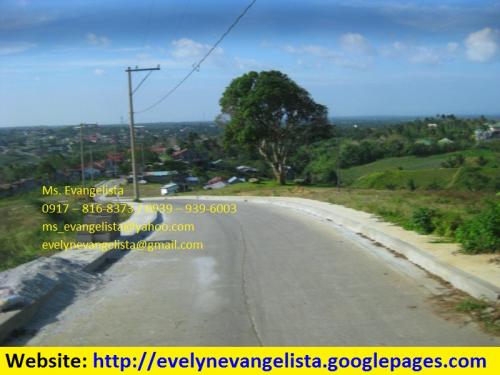 FOR SALE: Lot / Land / Farm Cavite 4