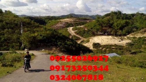 FOR SALE: Lot / Land / Farm Cebu 1