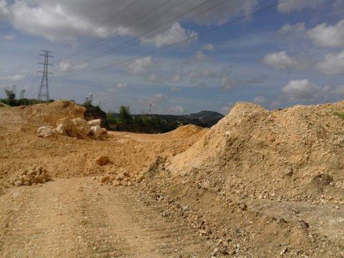 FOR SALE: Lot / Land / Farm Cebu 3