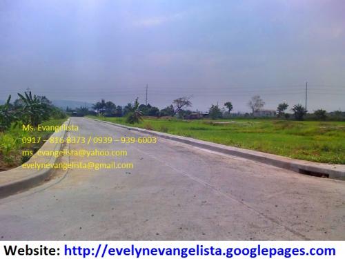 FOR SALE: Lot / Land / Farm Rizal 6