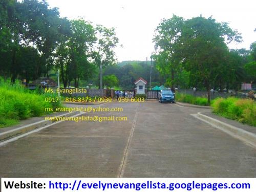 FOR SALE: Lot / Land / Farm Rizal 5