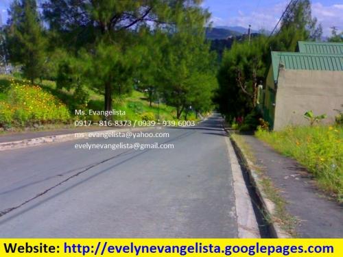 FOR SALE: Lot / Land / Farm Rizal 2